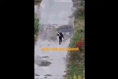 barbat gif1 gif