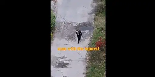 barbat gif1 gif