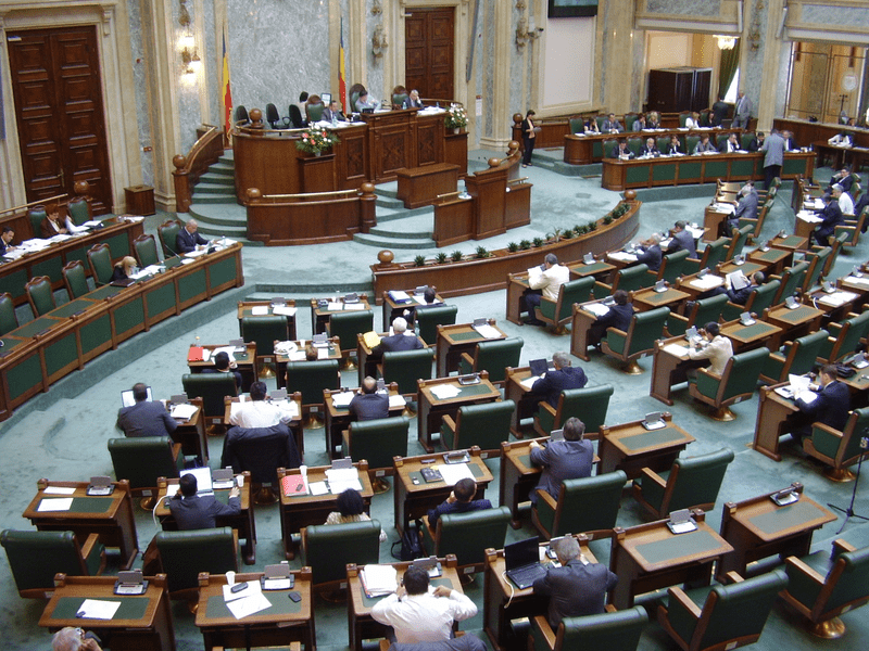 Senatul a adoptat o declarație de susținere a familiei Furdui, ai cărei copii au fost luați de statul german