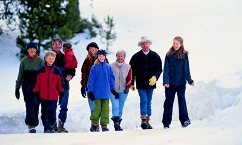 1 50372 original jpg jpeg