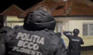 perchezitii proxeneti jpeg