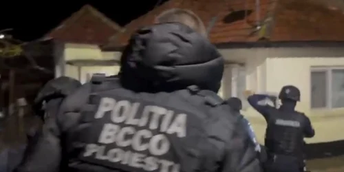 perchezitii proxeneti jpeg