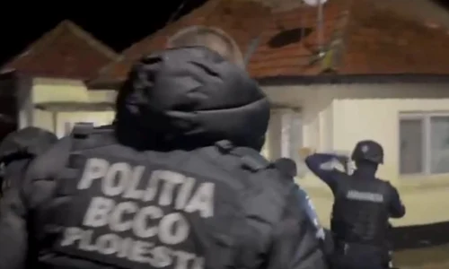 perchezitii proxeneti jpeg