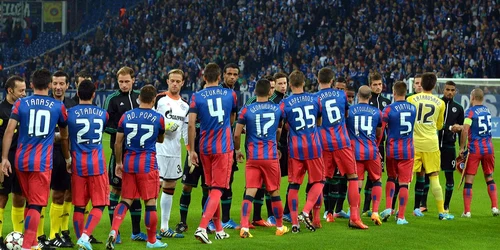 schalke steaua foto razvan pasarica