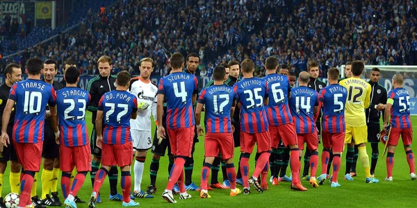 schalke steaua foto razvan pasarica