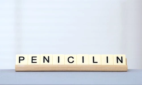 1 shutterstock 518229007 jpg jpeg