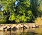 Dobrogea de nord - Delta Dunării Sursa Asociaţia de Management al Destinaţiei Turistice Delta Dunării