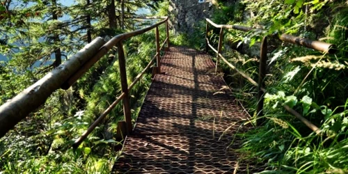 În România nici podurile nu mai sunt în siguranţă din cauza hoţilor