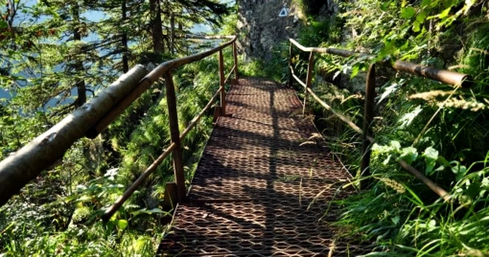 În România nici podurile nu mai sunt în siguranţă din cauza hoţilor
