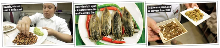 Foto: Dorin Constanda