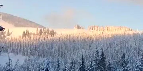 Cerbi în zăpada Muntii Rodnei mp4 thumbnail png