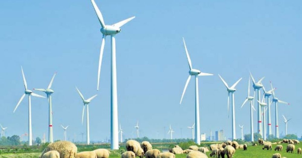 Statele vor să crească de 2,4 ori producția din energie eoliană până în 2030