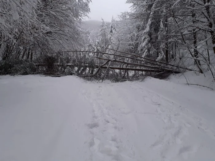 Omătul din Braşov FOTO: DRDP Braşov