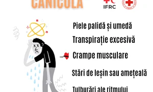 Canicula Crucea Rosie jpg