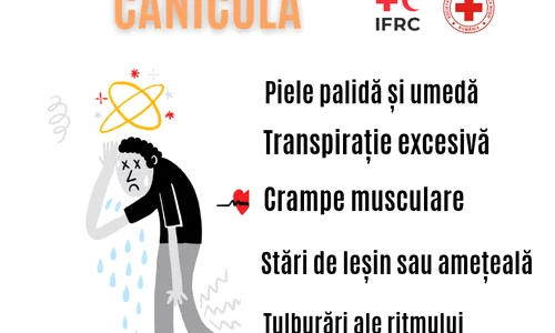 Canicula Crucea Rosie jpg