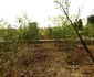Parcul Salca
