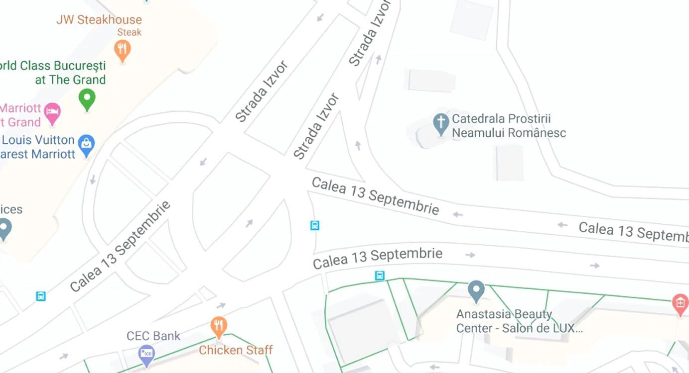 Așa apare pe Google Maps numele Catedralei Mântuirii Neamului