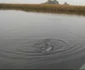 jezero joca