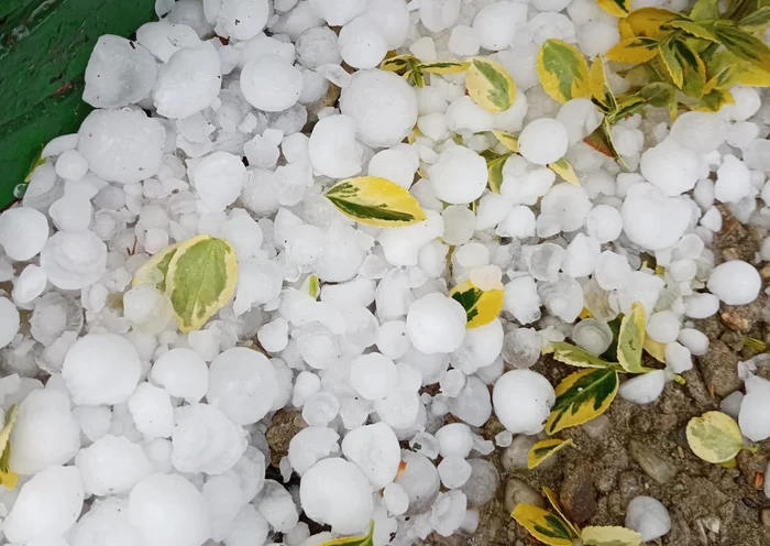Grindină a afectat grădinile și serele FOTO: Meteoplus
