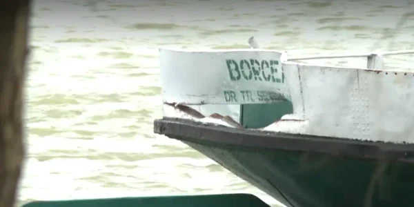 avariere nava Borcea FOTO captura video ProTv webp