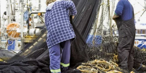 Industria pescuitului se confruntă cu o problemă de proporţii