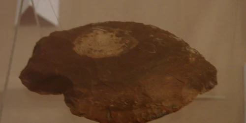 Foto Rareş Diodiu/ Vârful de lance preistoric este expus la Muzeul Naţional al Unirii