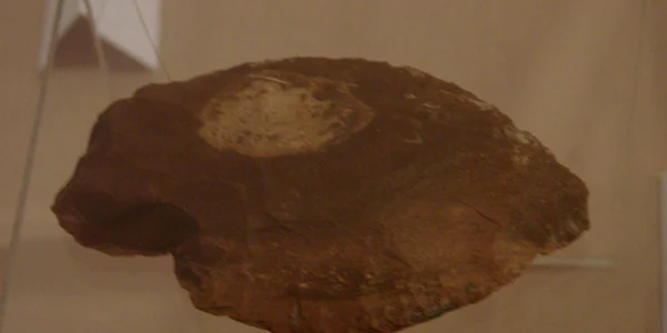 Foto Rareş Diodiu/ Vârful de lance preistoric este expus la Muzeul Naţional al Unirii 