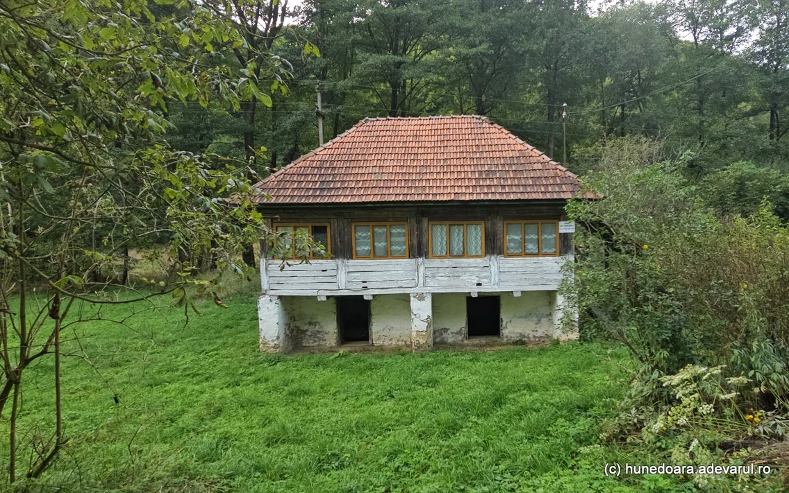 Bulzestii de sus, Hunedoara  Foto Daniel Guță  ADEVĂRUL (117) jpg