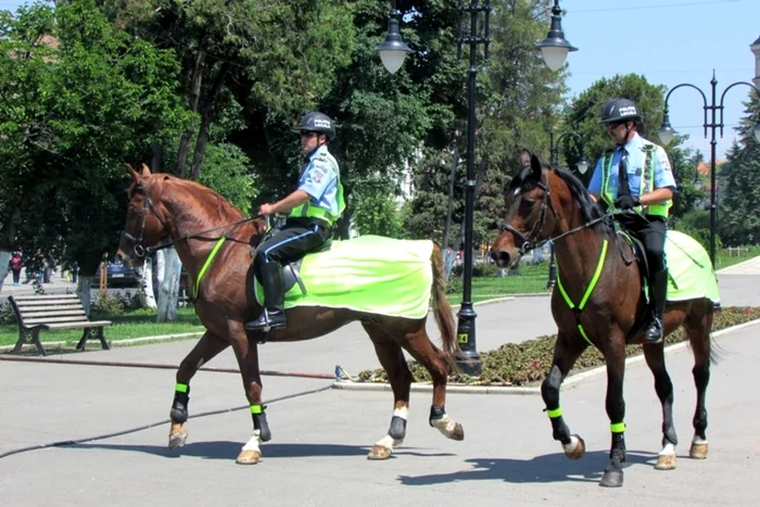 poliţie locală