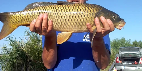 Gicu Caraman 1 FOTO arhiva personala jpg