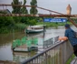 Vaporul Pelican FOTO Ecluze pe Bega