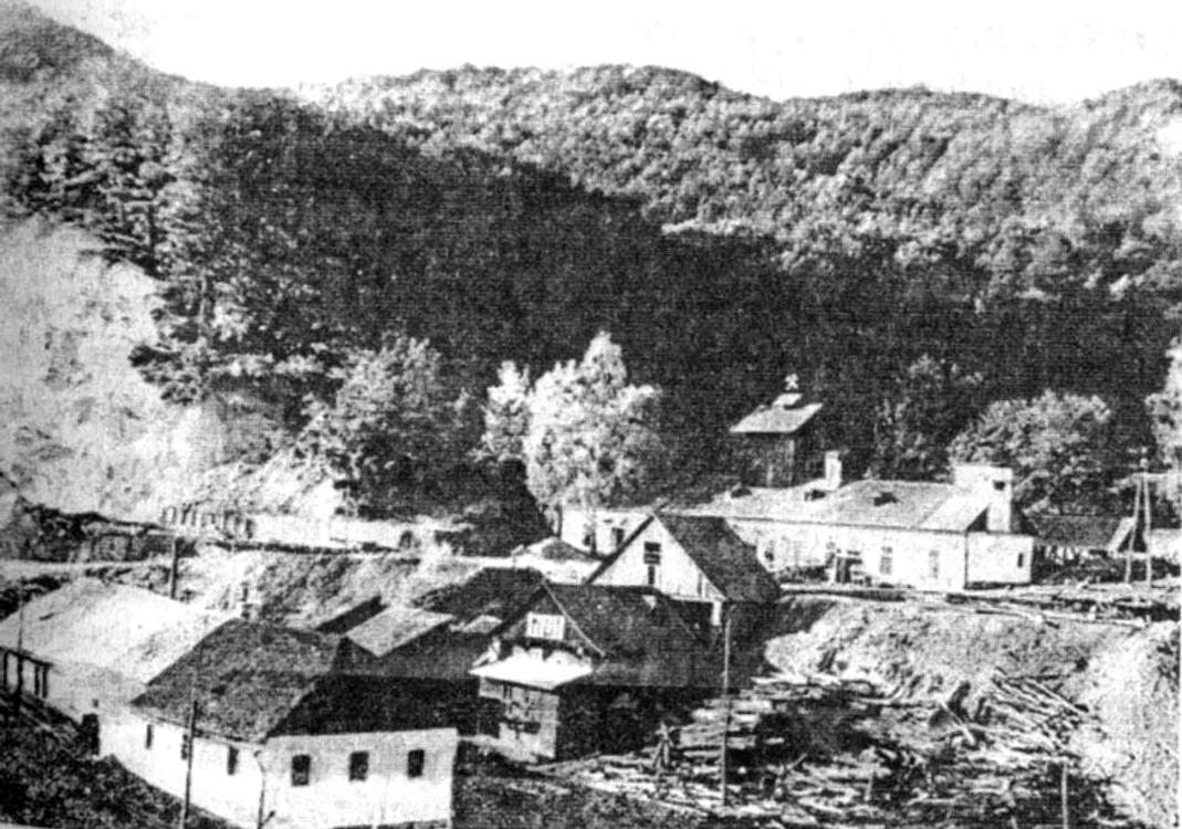 Colonia Cavnic