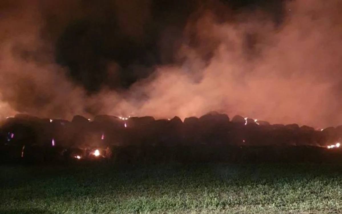 Pompieri din 2 judeţe luptă cu flăcările FOTO Facebook/ISU Ialomiţa