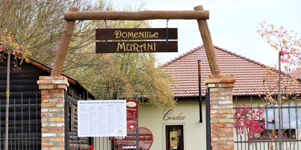 Loc de relaxare la 25 de kilometri de Timișoara FOTO Domeniile Murani