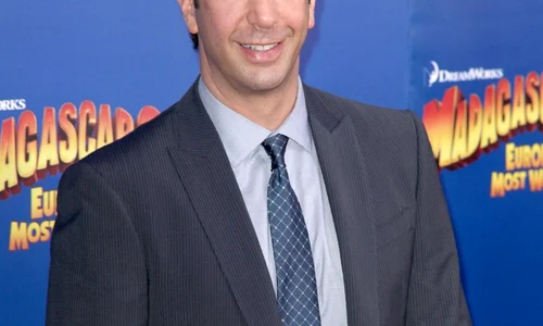 david schwimmer jpeg