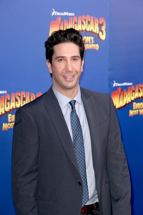 david schwimmer jpeg