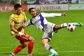 FC Arges UTA Arad (Sportpictures) jpg