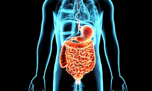 1 shutterstock 594726947 jpg jpeg