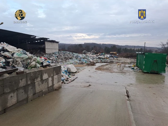 Afacerea cu deșeuri reciclabile a pornit din Gorj FOTO: IPJ Dolj