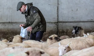 Prințul William a testat viața de fermier în vizita sa la Herefordshire, Profimedia (1) jpg