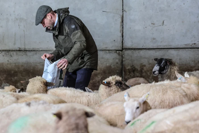 Prințul William a testat viața de fermier în vizita sa la Herefordshire, Profimedia (1) jpg