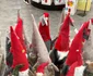 Spiritul Sărbătorilor se simte deja în magazine