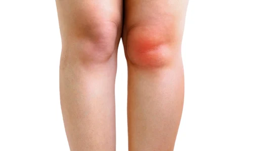 shutterstock 2309942889 jpg