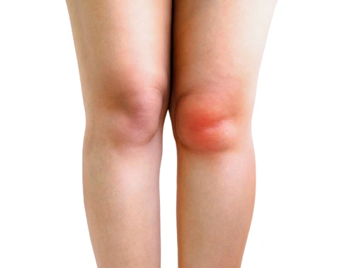 shutterstock 2309942889 jpg