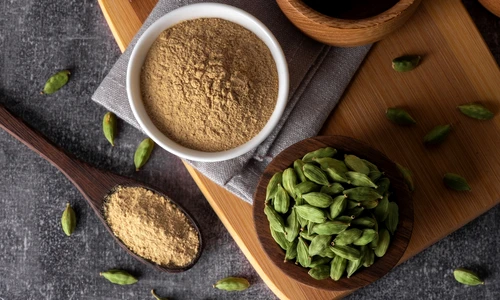 shutterstock 2161233459 jpg