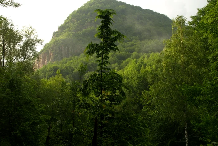 Imagini din zona Luncani. D. Guţă