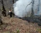 Incendiu în pădurile de pe Valea Oltului Vâlcea Brezoi zona Debuşare de lângă DN 7 - E 81 Foto ISU Vâlcea 