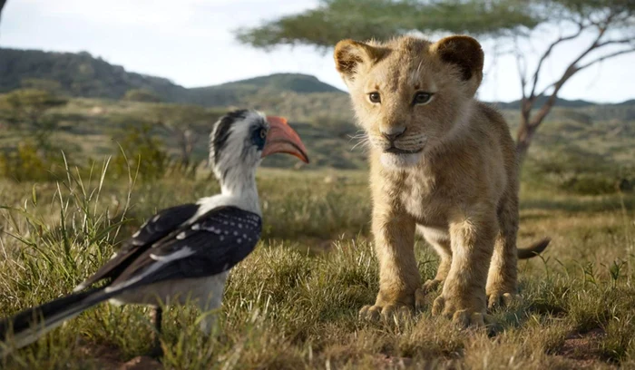 The Lion King FOTO IMDb