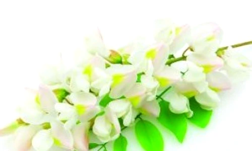 1 74578 original jpg jpeg