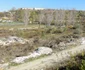 gradina zoo slatina
